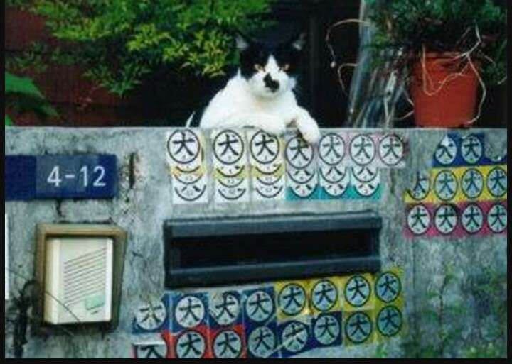 優しい動物たち