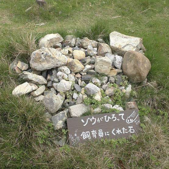 優しい動物たち