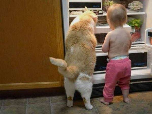 優しい動物たち