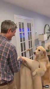 優しい動物たち