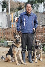 ペットの「オオカミ犬」逃げ出す　千葉・南房総市