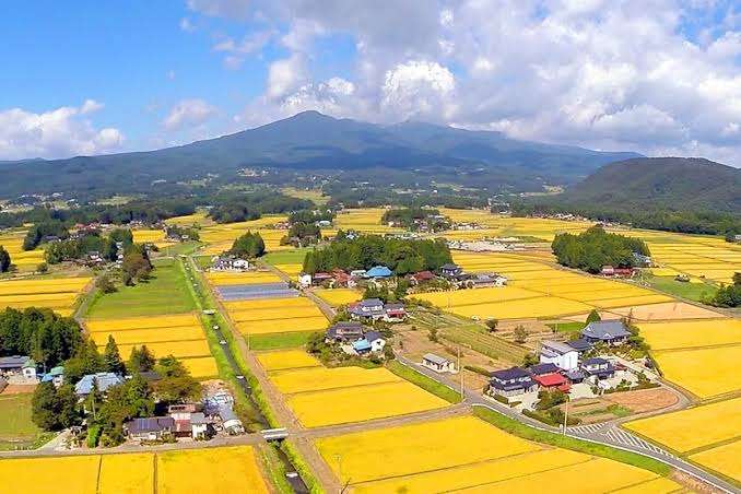 “東京大脱出”など起きていなかった…コロナ禍でも「都心への人口集中」が続くワケ