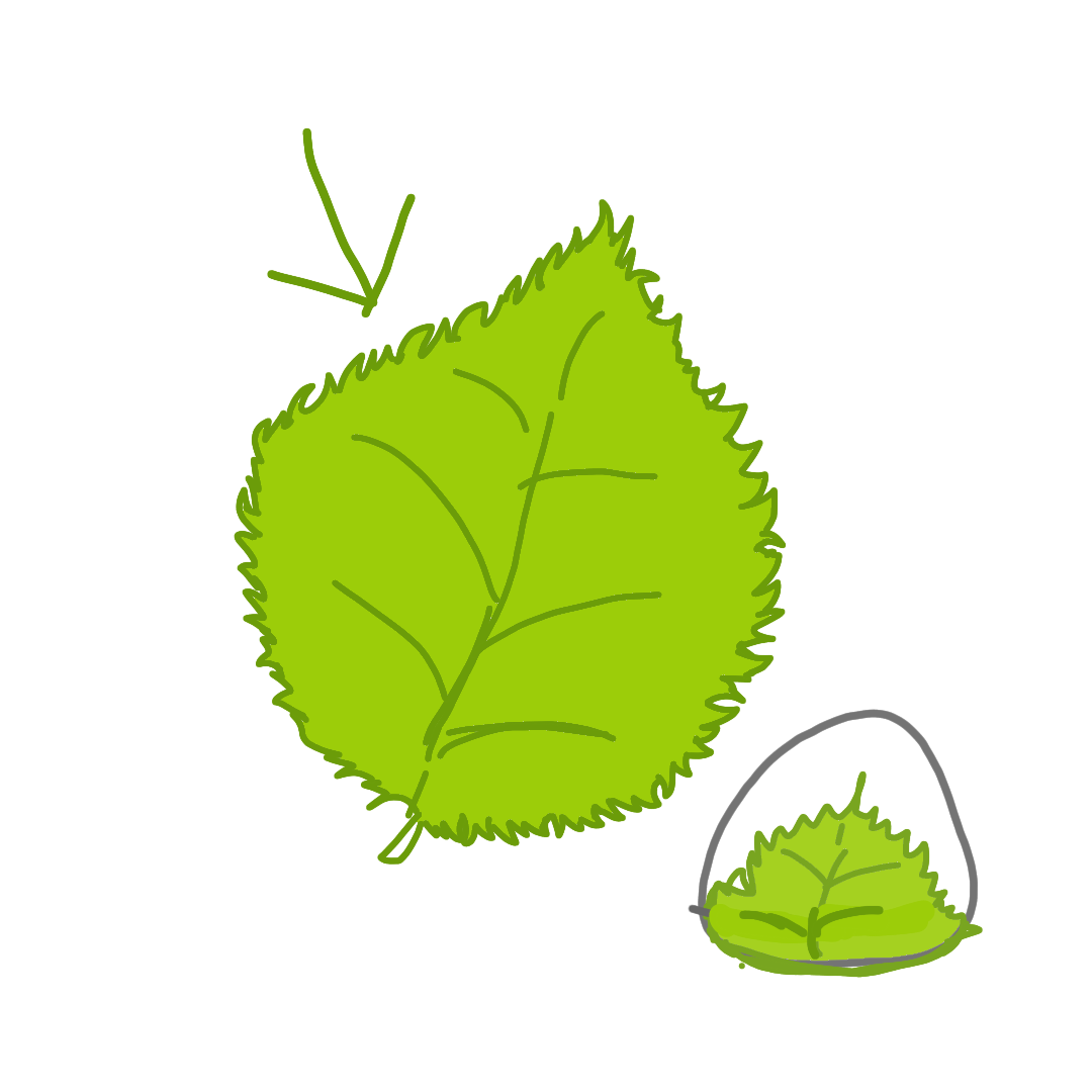 絵しりとり
