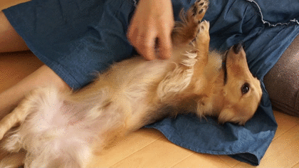 コロナ禍で見出した新しい遊び