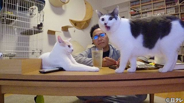 【賃貸】ペット可物件に住んでる人