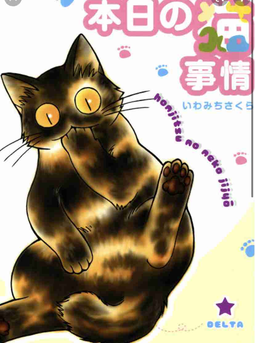 サビ猫を飼っている方！