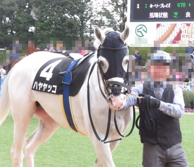 好きな競走馬は？ Part2