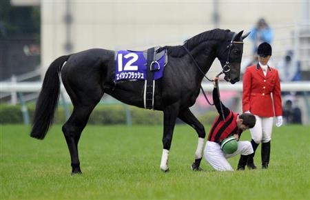 好きな競走馬は？ Part2