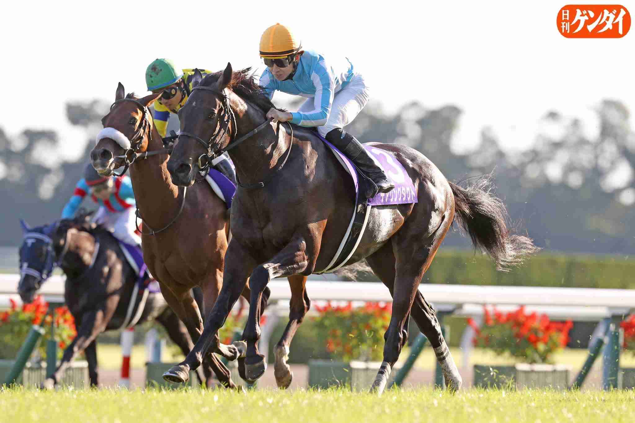 好きな競走馬は？ Part2