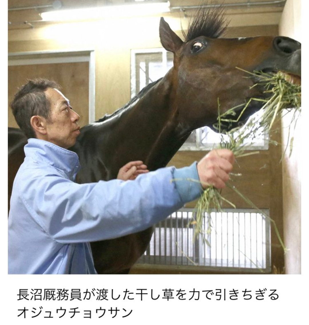 好きな競走馬は？ Part2