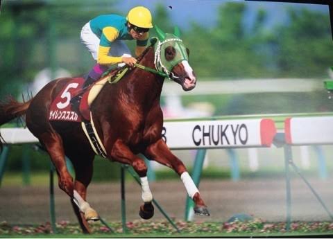 好きな競走馬は？ Part2