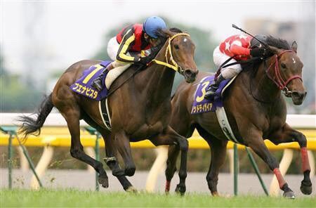 好きな競走馬は？ Part2