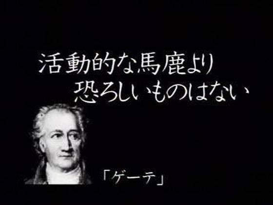 「クワガタ大量に捕れた」SNSで情報拡散？　世界遺産の奄美大島・徳之島　昆虫トラップ後絶たず　地元「規制の強化を」