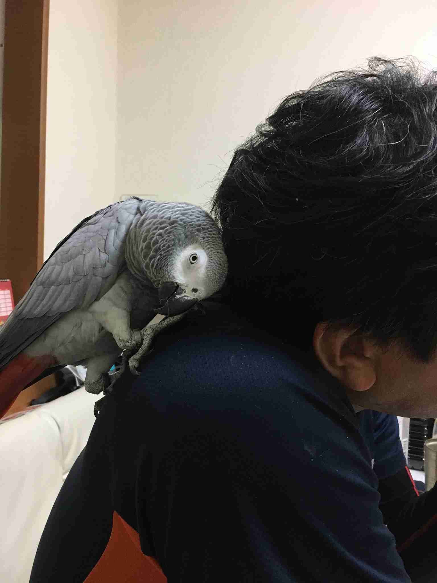 ペットと暮らしている方、雑談しませんか？　Part 2