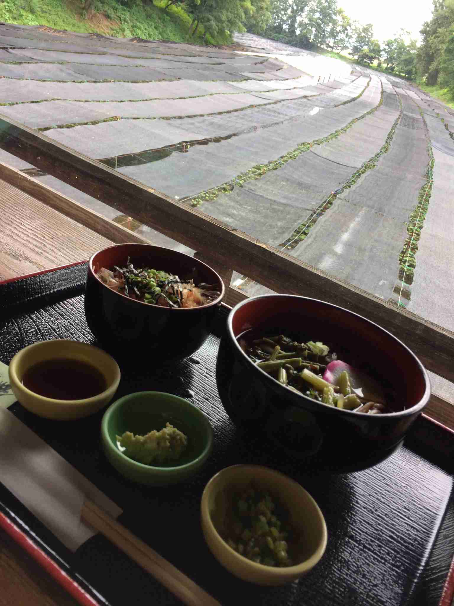旅行中に撮った食べ物の写真を貼るトピ