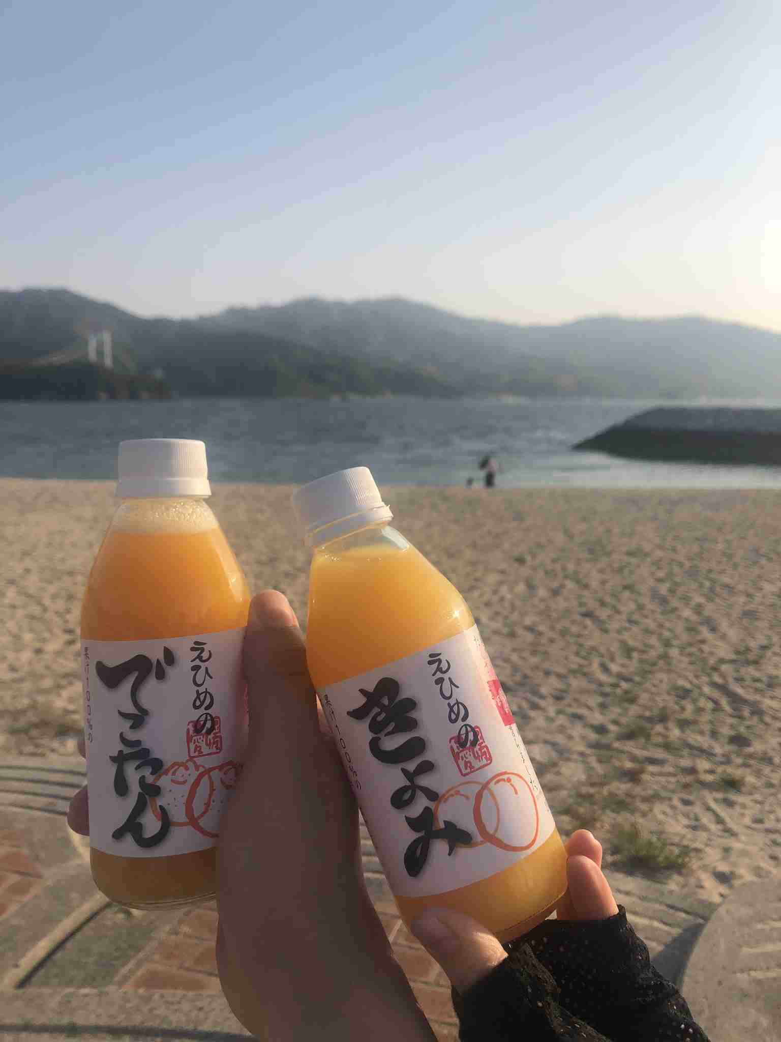 旅行中に撮った食べ物の写真を貼るトピ