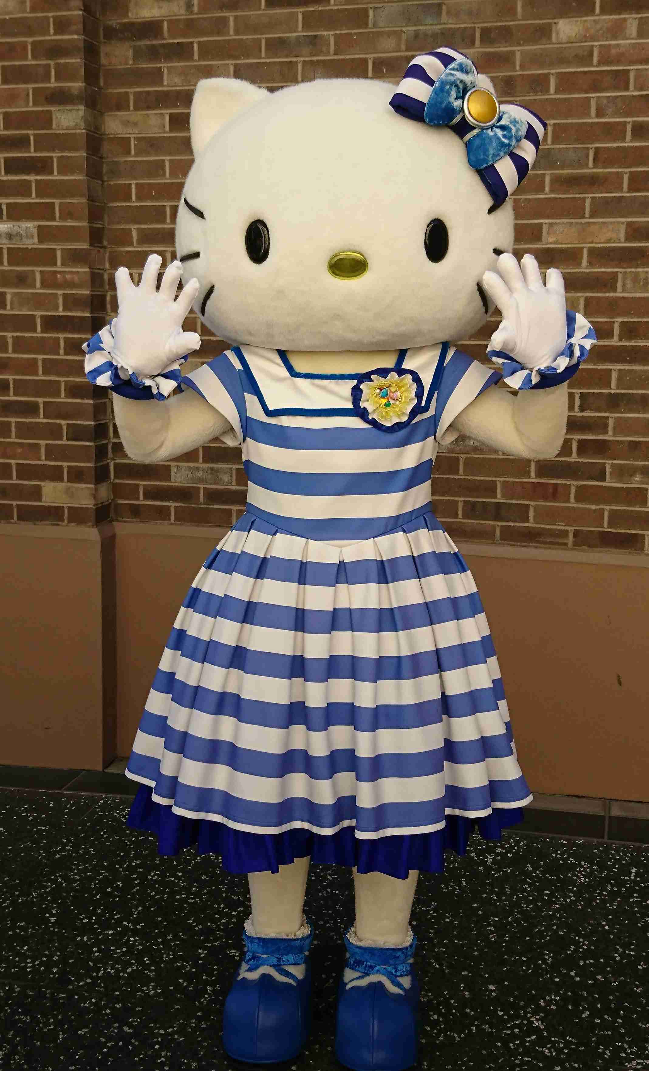 色んなキティちゃんが見たい!