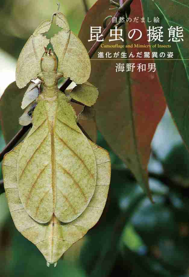 人間が誰も嘘をつけなくなったらどんな世界になると思いますか？