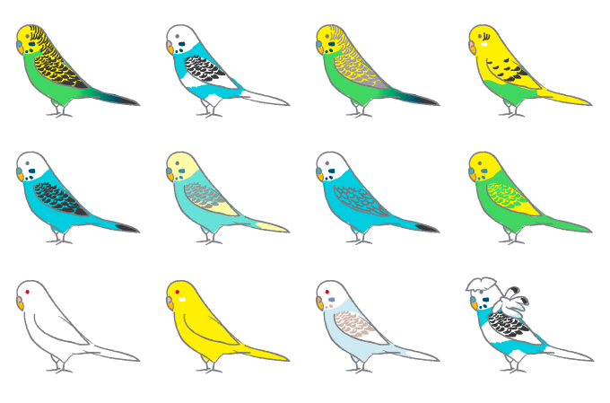 色違い画像が集まるトピ