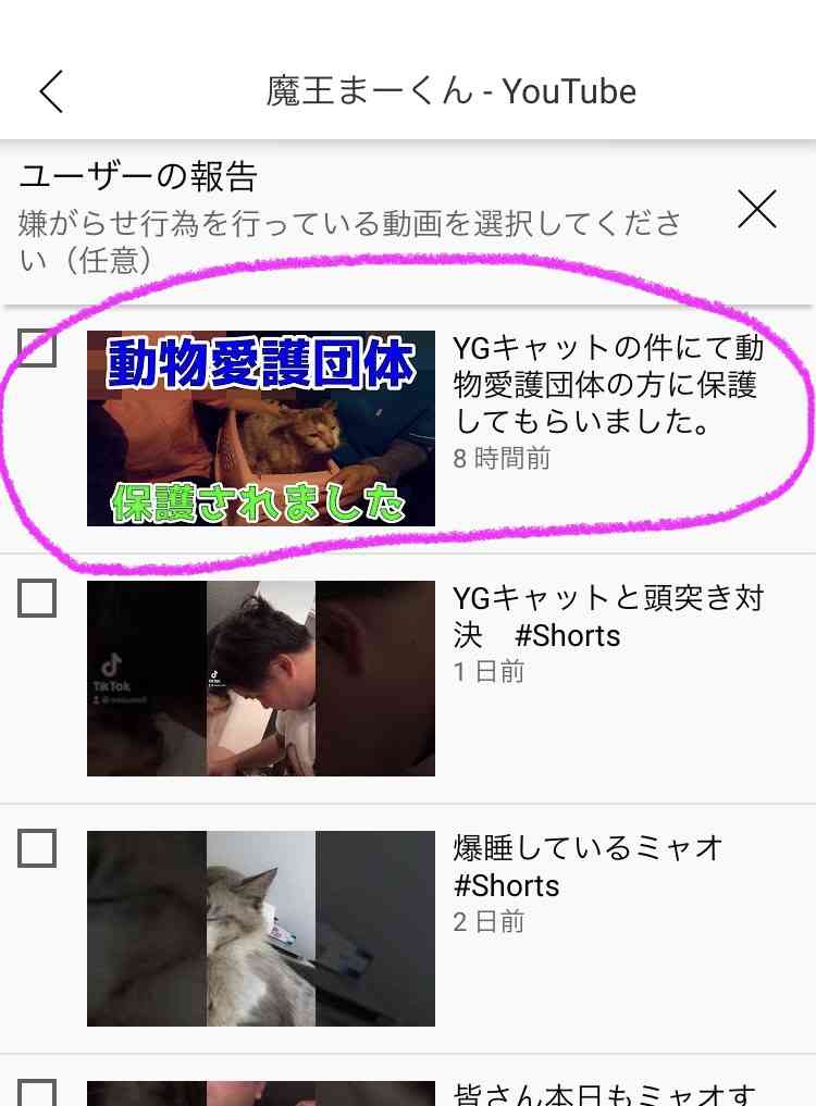 虐待動画の猫、保護されず「YouTuber」の手に戻る…弁護士は「警察の対応」も問題視