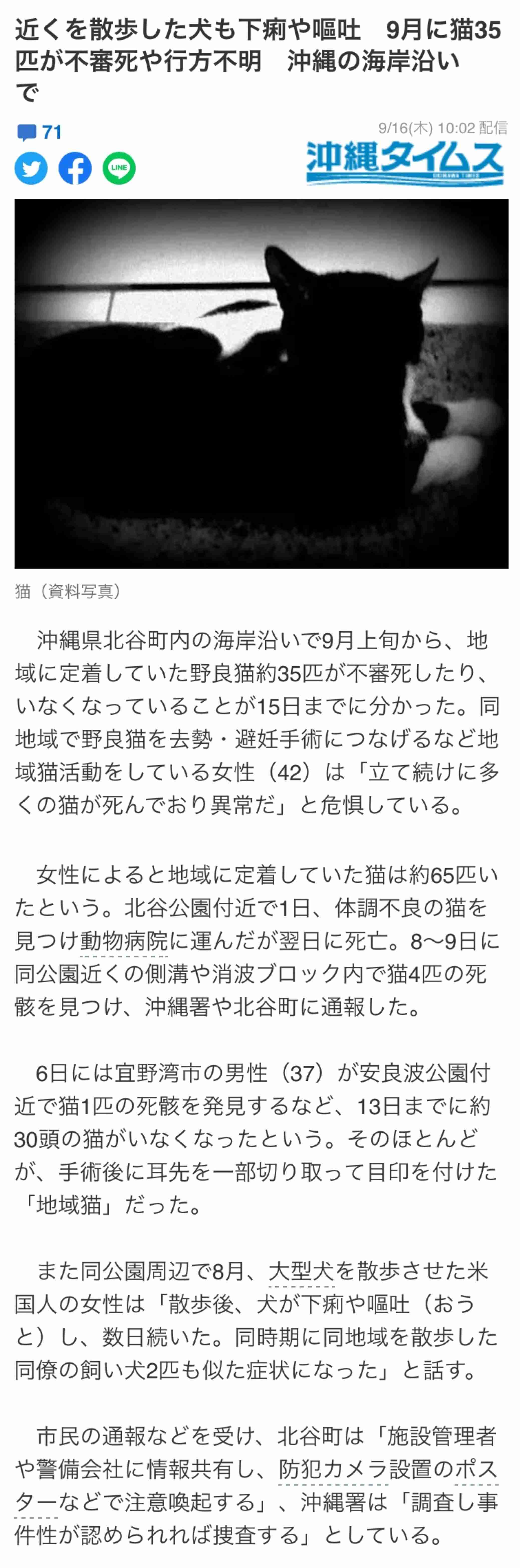 虐待動画の猫、保護されず「YouTuber」の手に戻る…弁護士は「警察の対応」も問題視