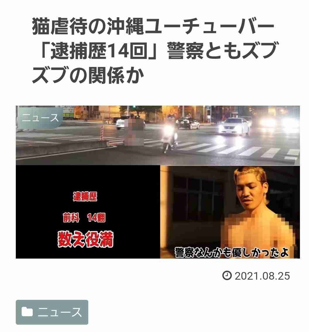 虐待動画の猫、保護されず「YouTuber」の手に戻る…弁護士は「警察の対応」も問題視