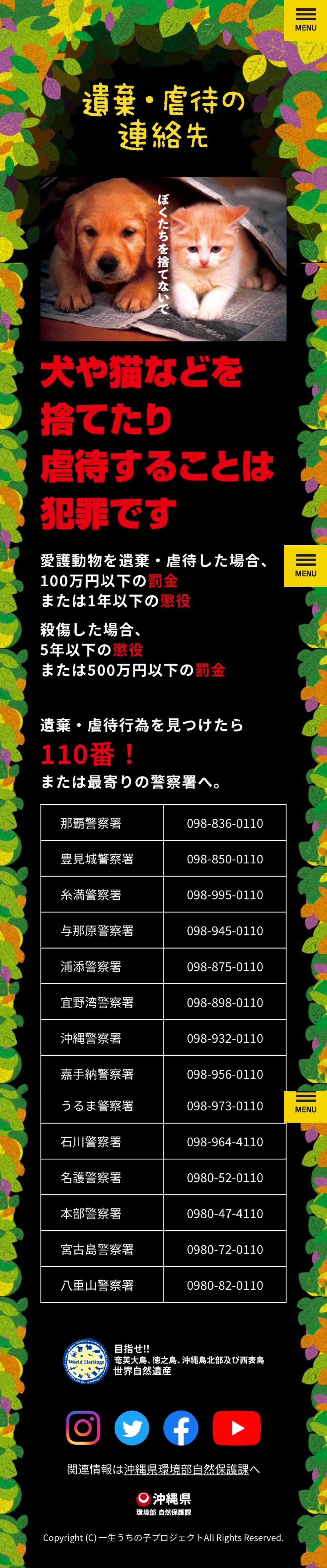 虐待動画の猫、保護されず「YouTuber」の手に戻る…弁護士は「警察の対応」も問題視