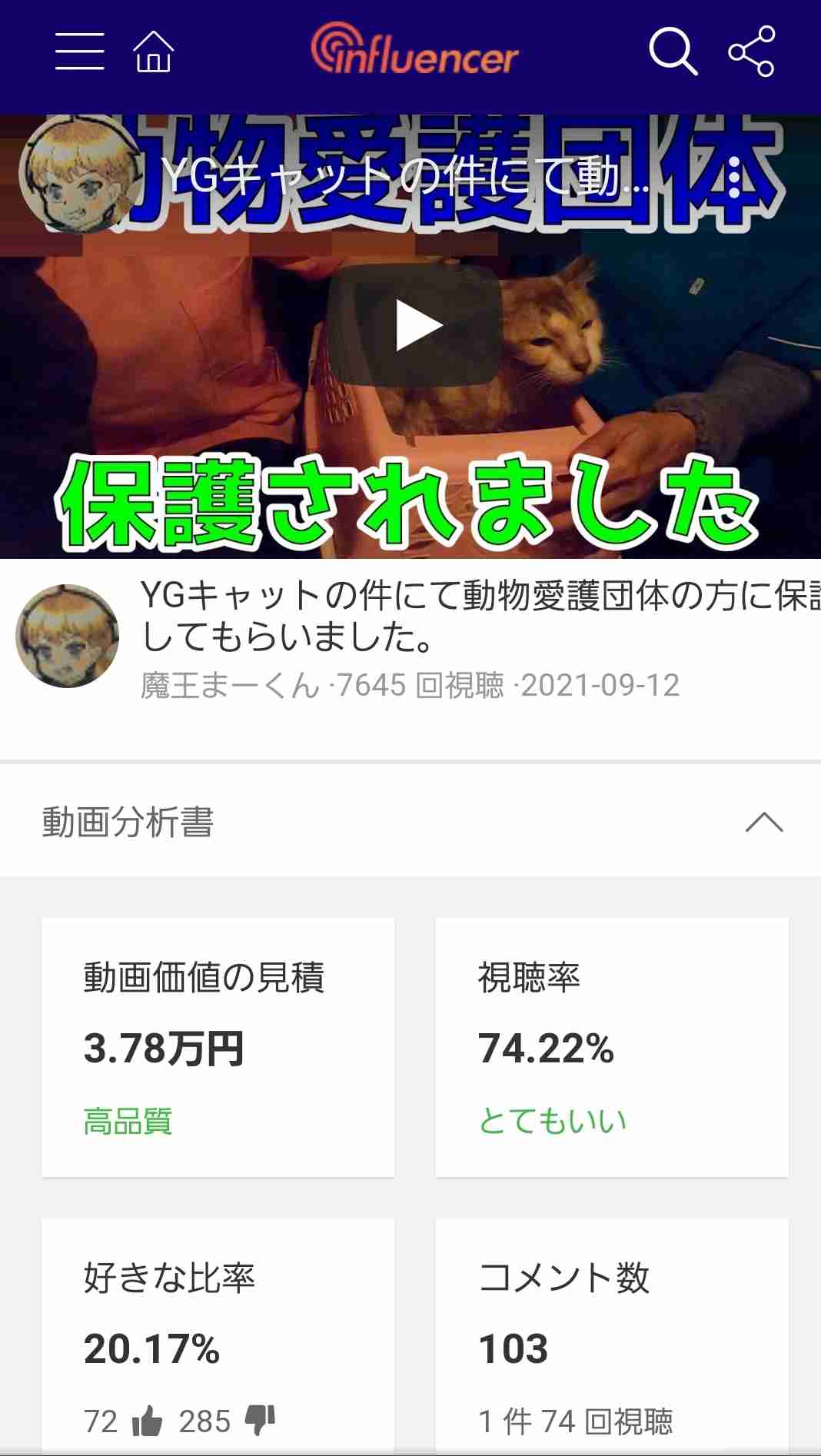 虐待動画の猫、保護されず「YouTuber」の手に戻る…弁護士は「警察の対応」も問題視