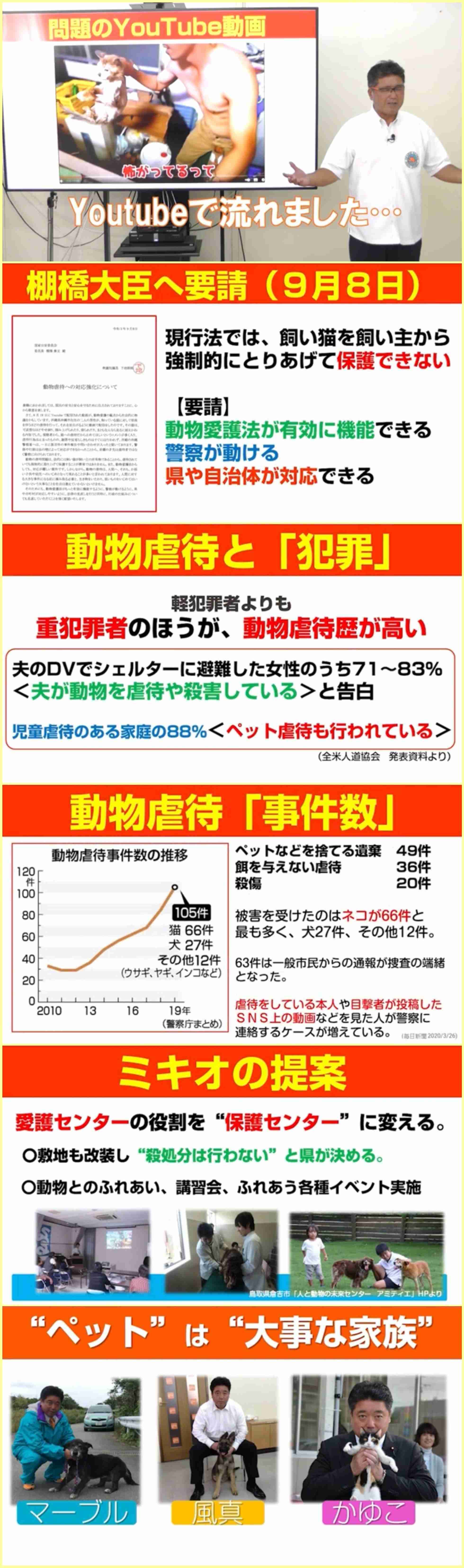虐待動画の猫、保護されず「YouTuber」の手に戻る…弁護士は「警察の対応」も問題視