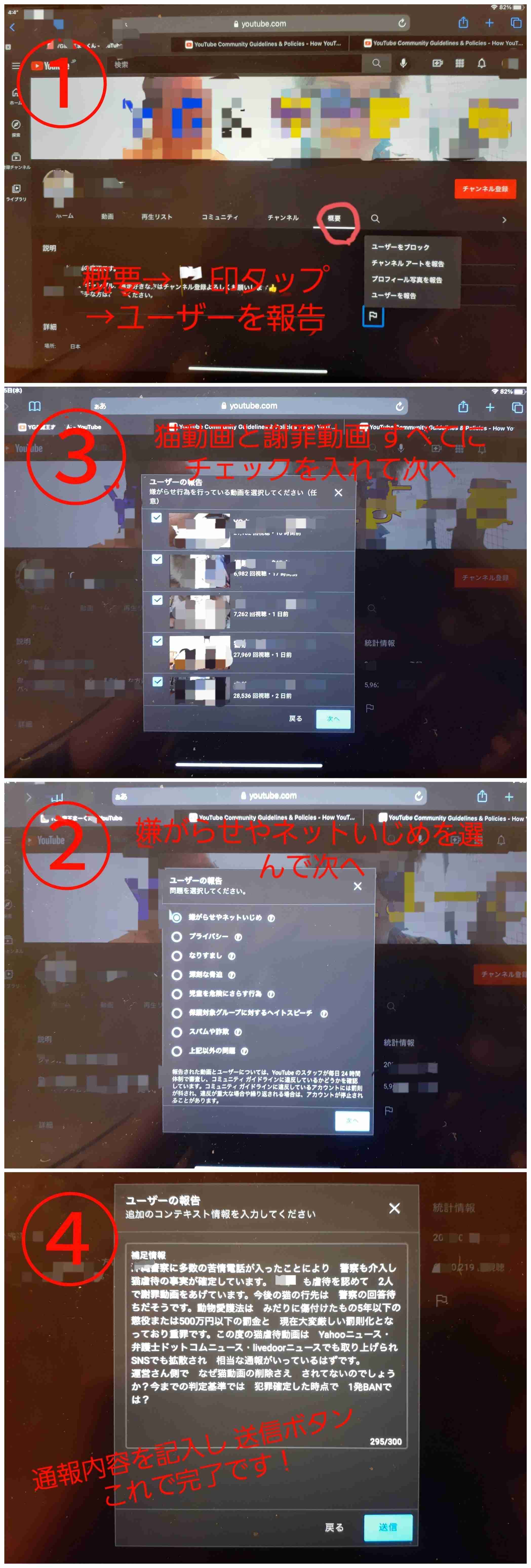 虐待動画の猫、保護されず「YouTuber」の手に戻る…弁護士は「警察の対応」も問題視