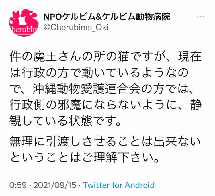 虐待動画の猫、保護されず「YouTuber」の手に戻る…弁護士は「警察の対応」も問題視