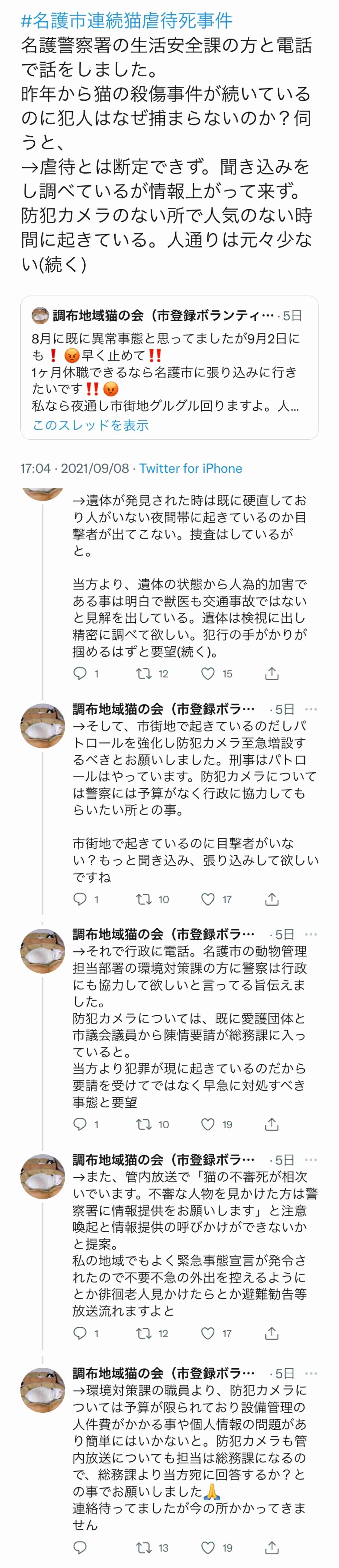 虐待動画の猫、保護されず「YouTuber」の手に戻る…弁護士は「警察の対応」も問題視