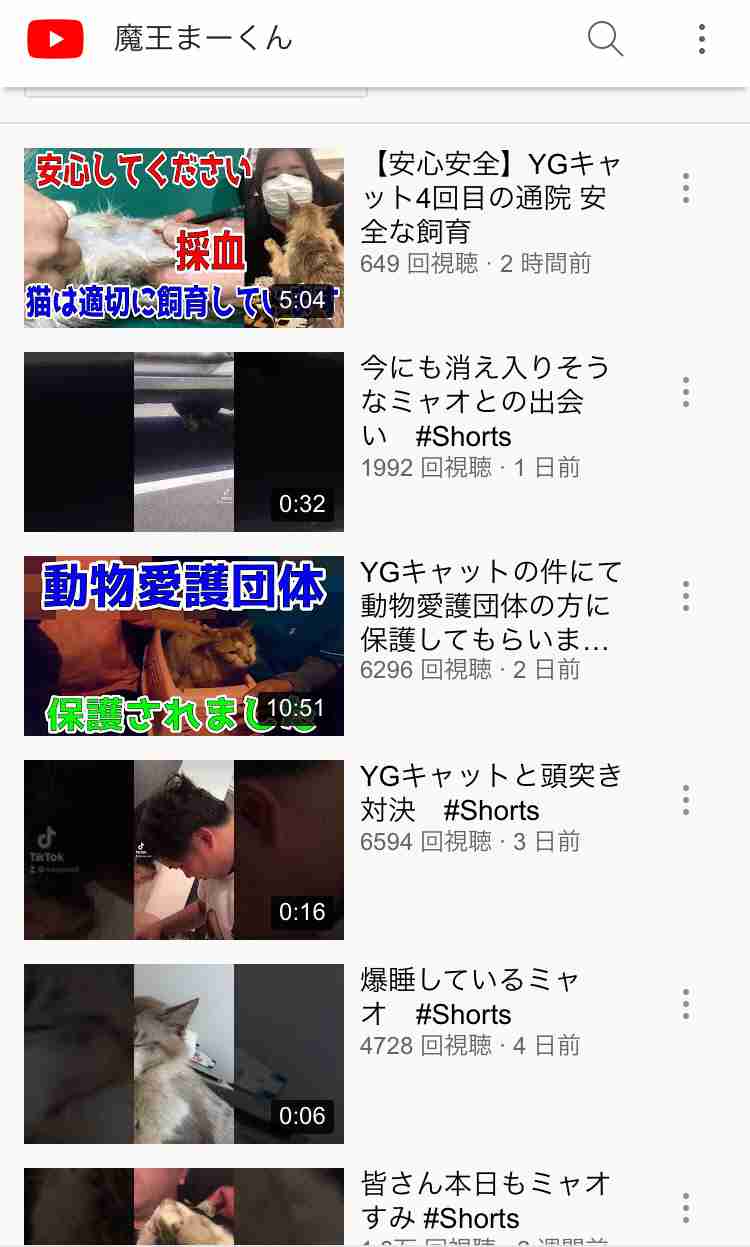 虐待動画の猫、保護されず「YouTuber」の手に戻る…弁護士は「警察の対応」も問題視