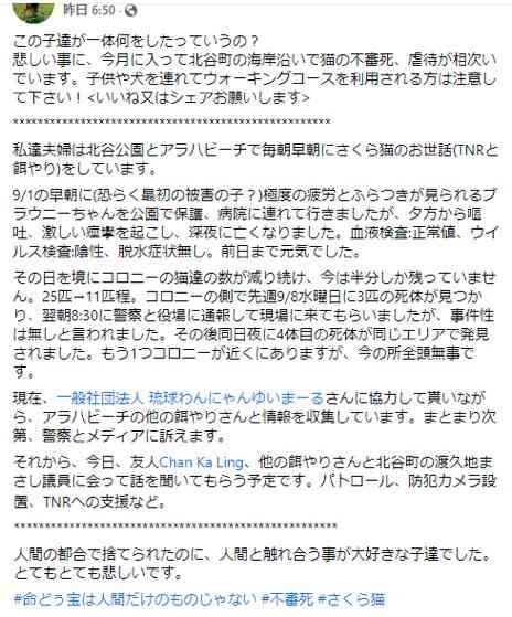虐待動画の猫、保護されず「YouTuber」の手に戻る…弁護士は「警察の対応」も問題視