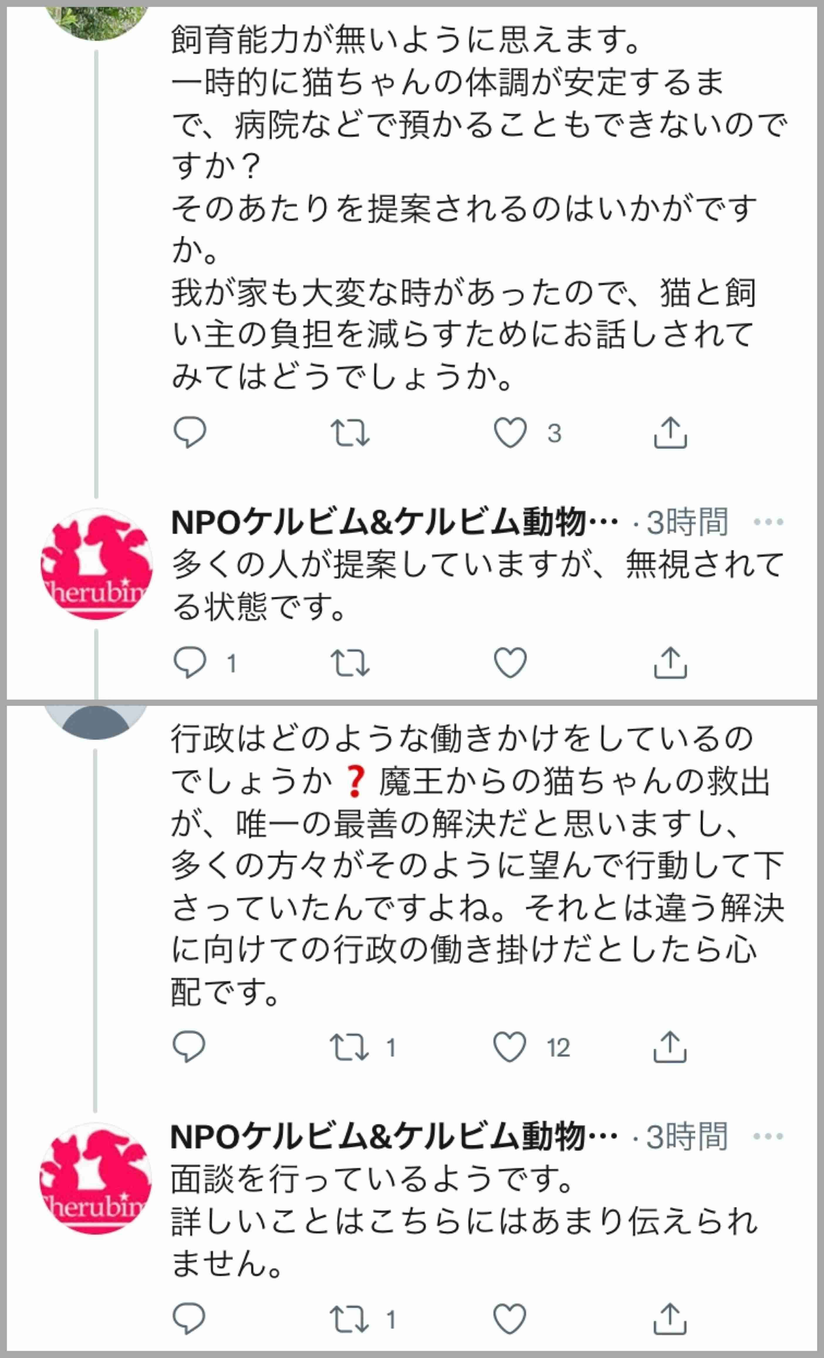 虐待動画の猫、保護されず「YouTuber」の手に戻る…弁護士は「警察の対応」も問題視