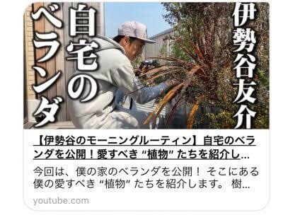 庭に何の木を植えていますか？