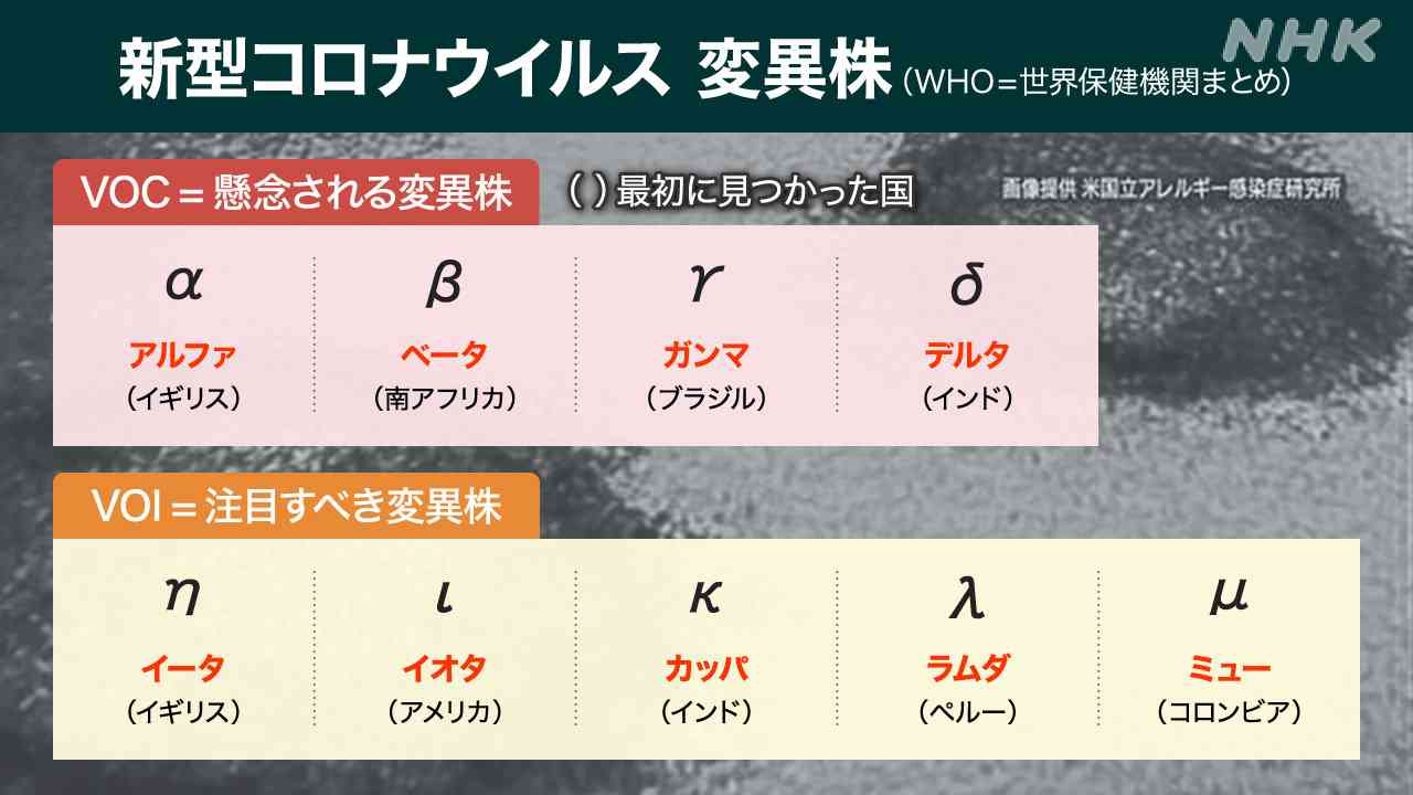 新型コロナの「イータ株」、昨年12月以降国内で18件確認 厚労省