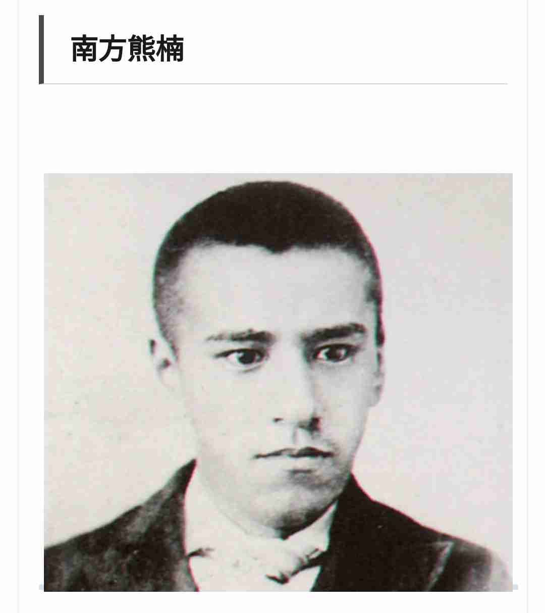 先生になってほしい歴史人物
