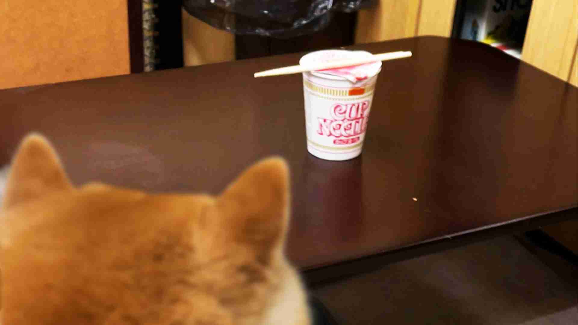 犬ちゃんねるがあったら立ちそうなトピ