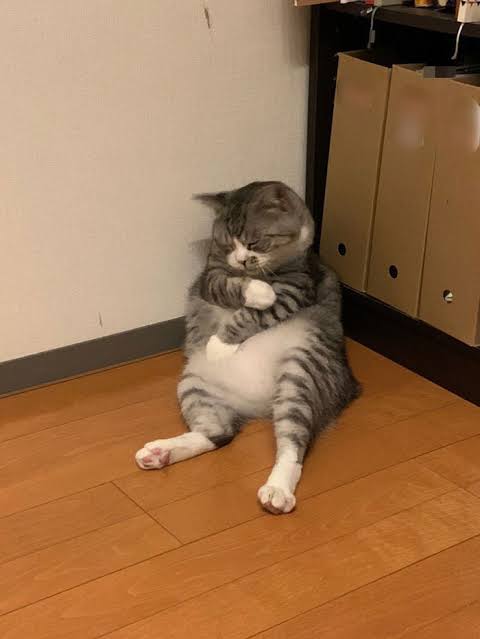 【季節の変わり目】体調どうですか