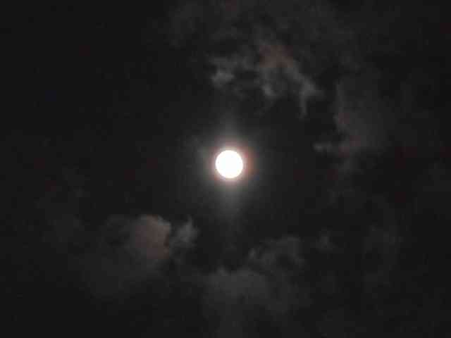 【満月】🌕お願い事を書くと叶うトピ🎑【中秋の名月】