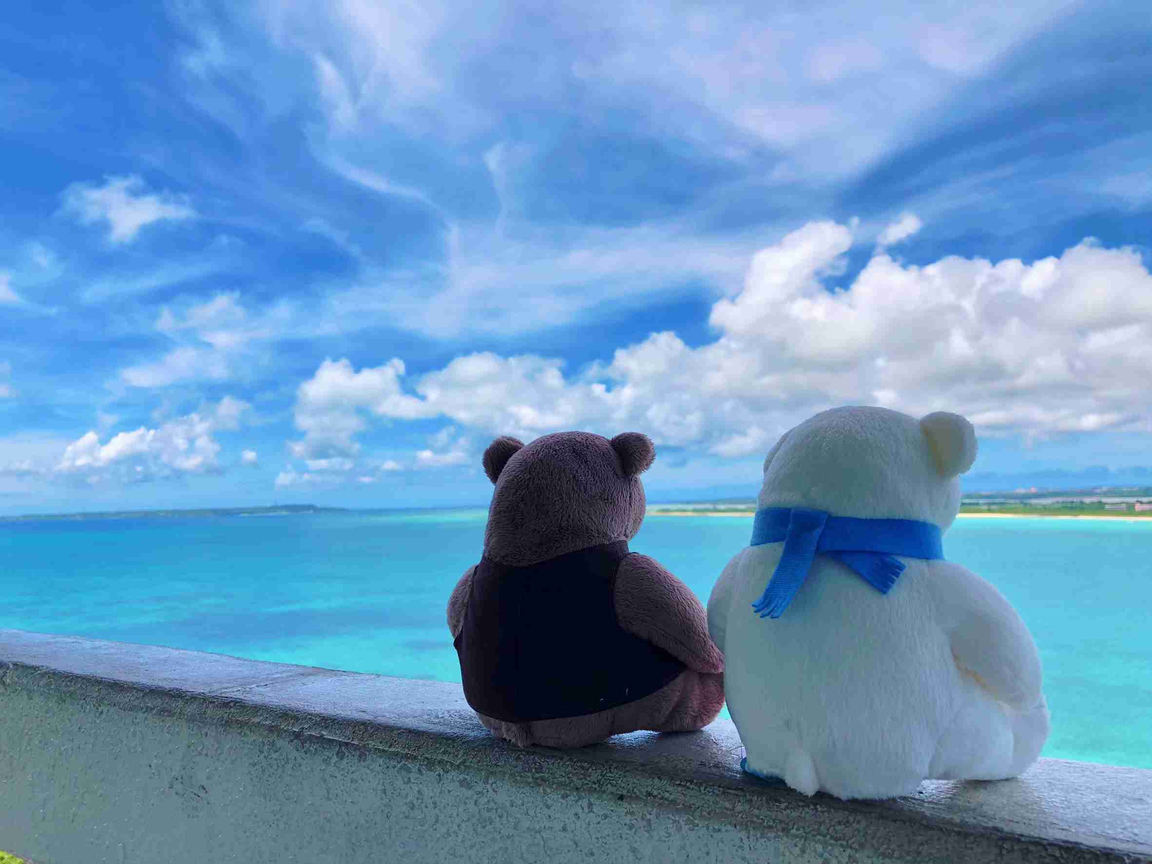 「しろくまカフェ」好きな人！