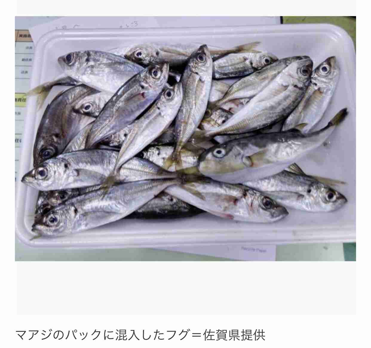 スーパーの真アジパックにフグ混入…自主回収中