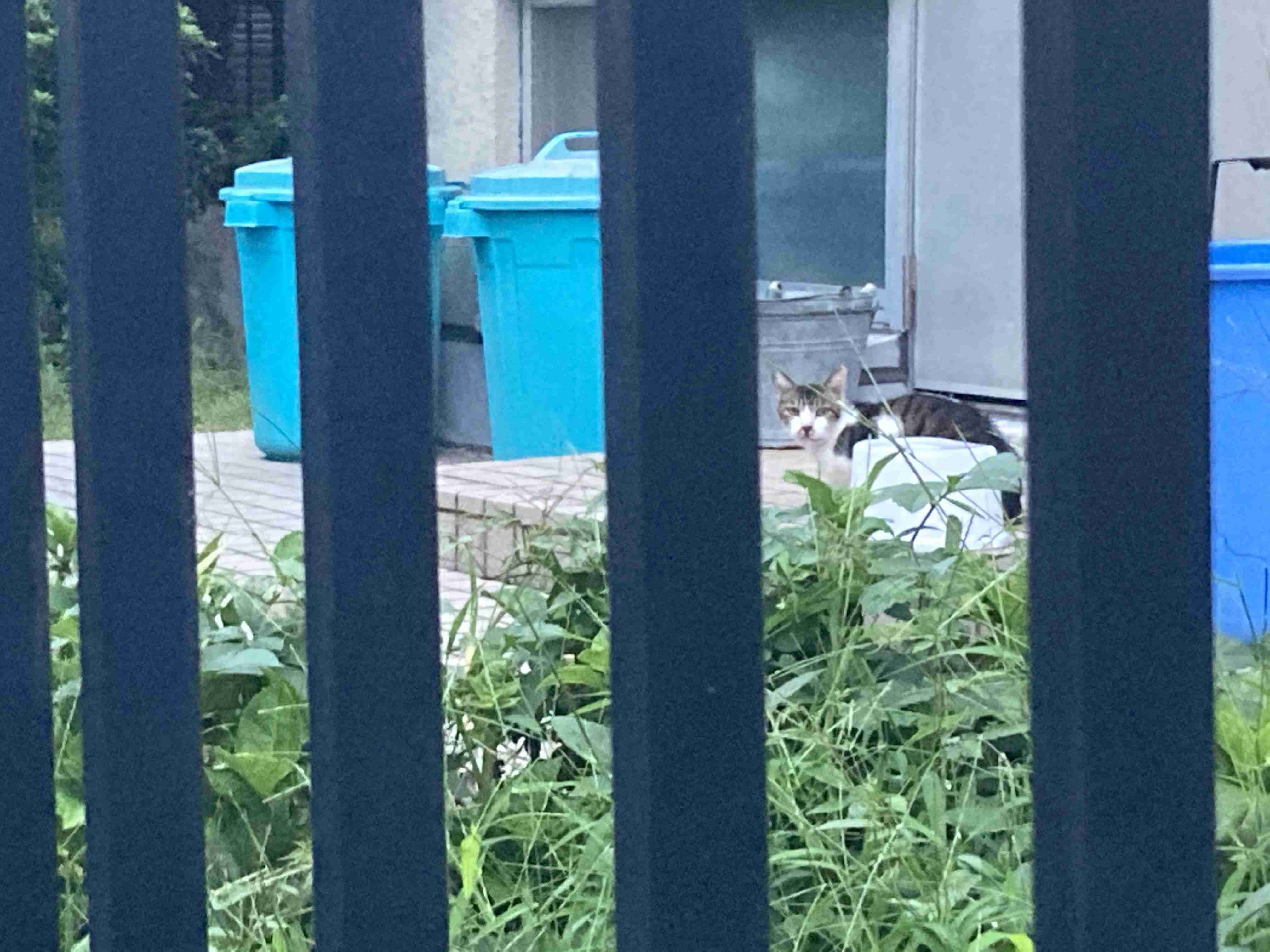最近、意地になったこと！