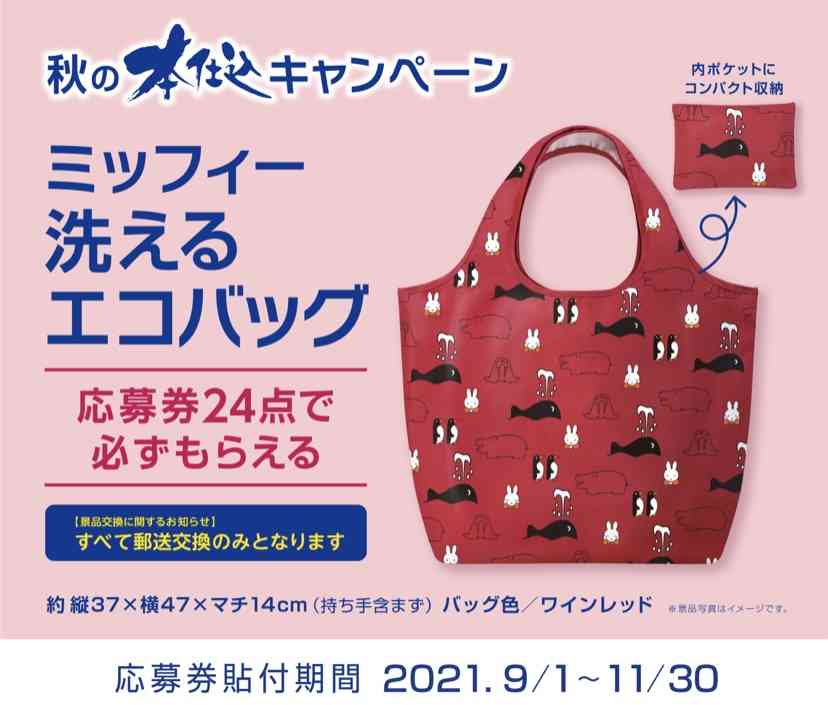 いろんなミッフィーが見たい( ・×・ )