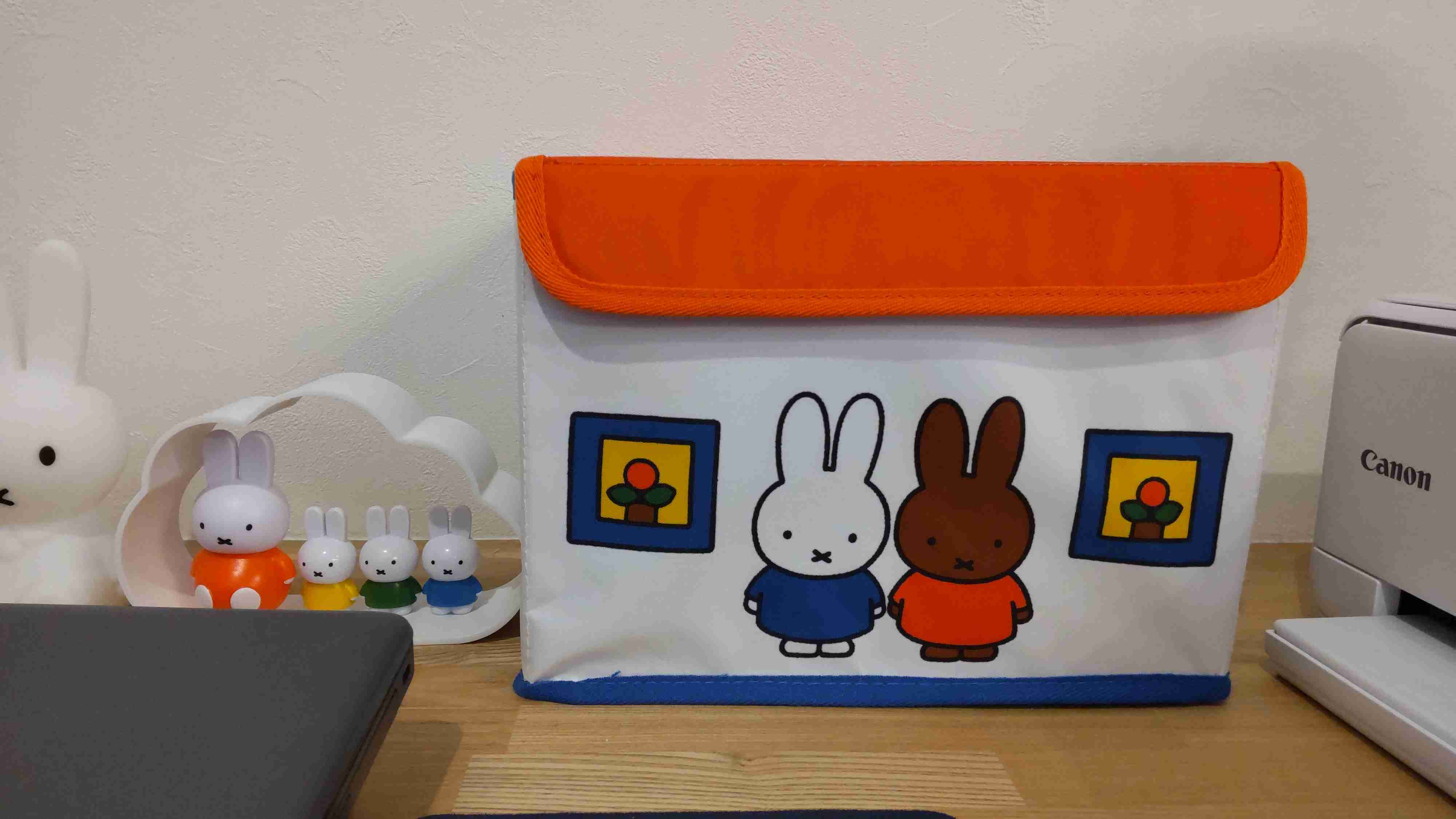 いろんなミッフィーが見たい( ・×・ )