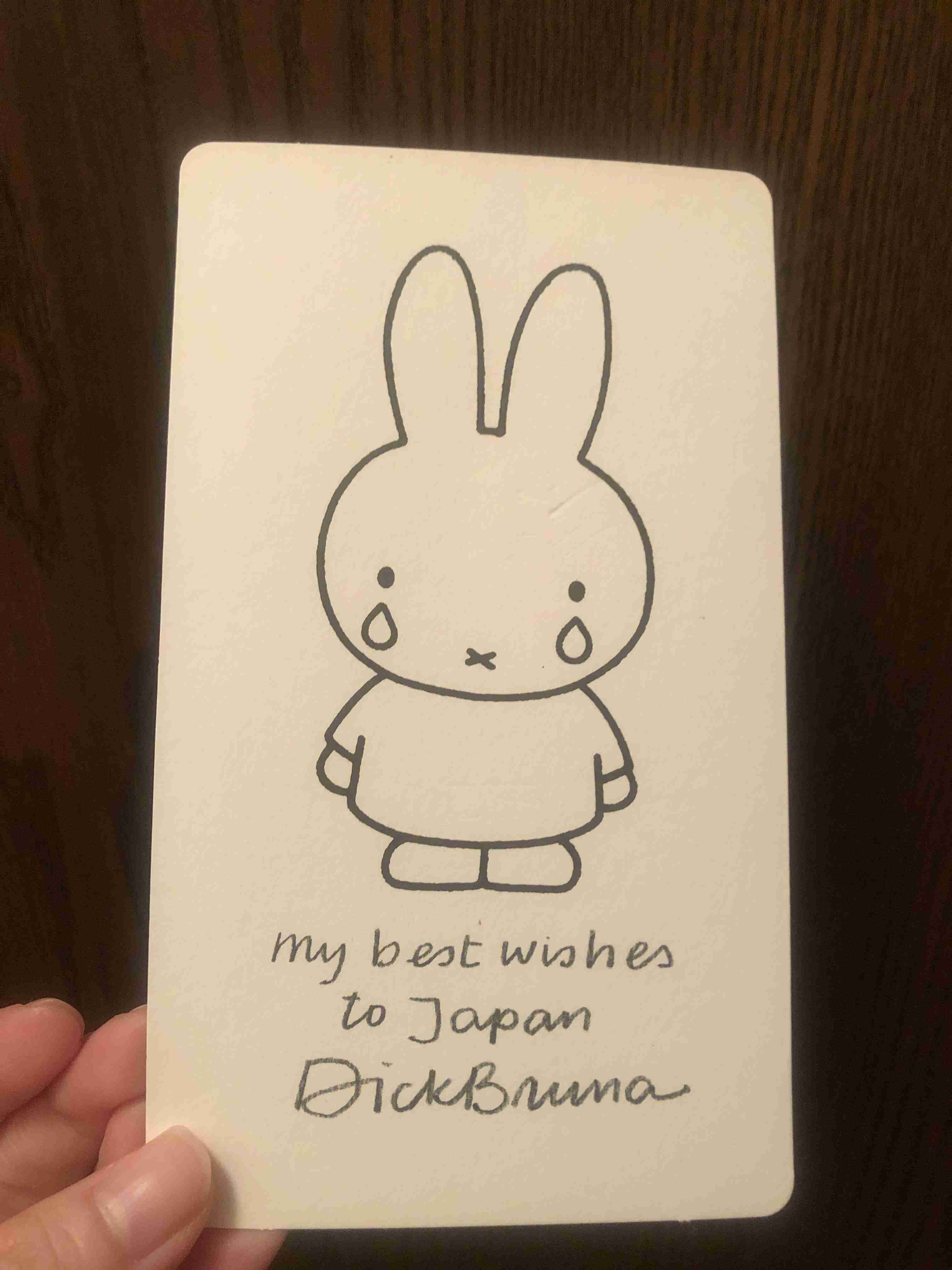 いろんなミッフィーが見たい( ・×・ )