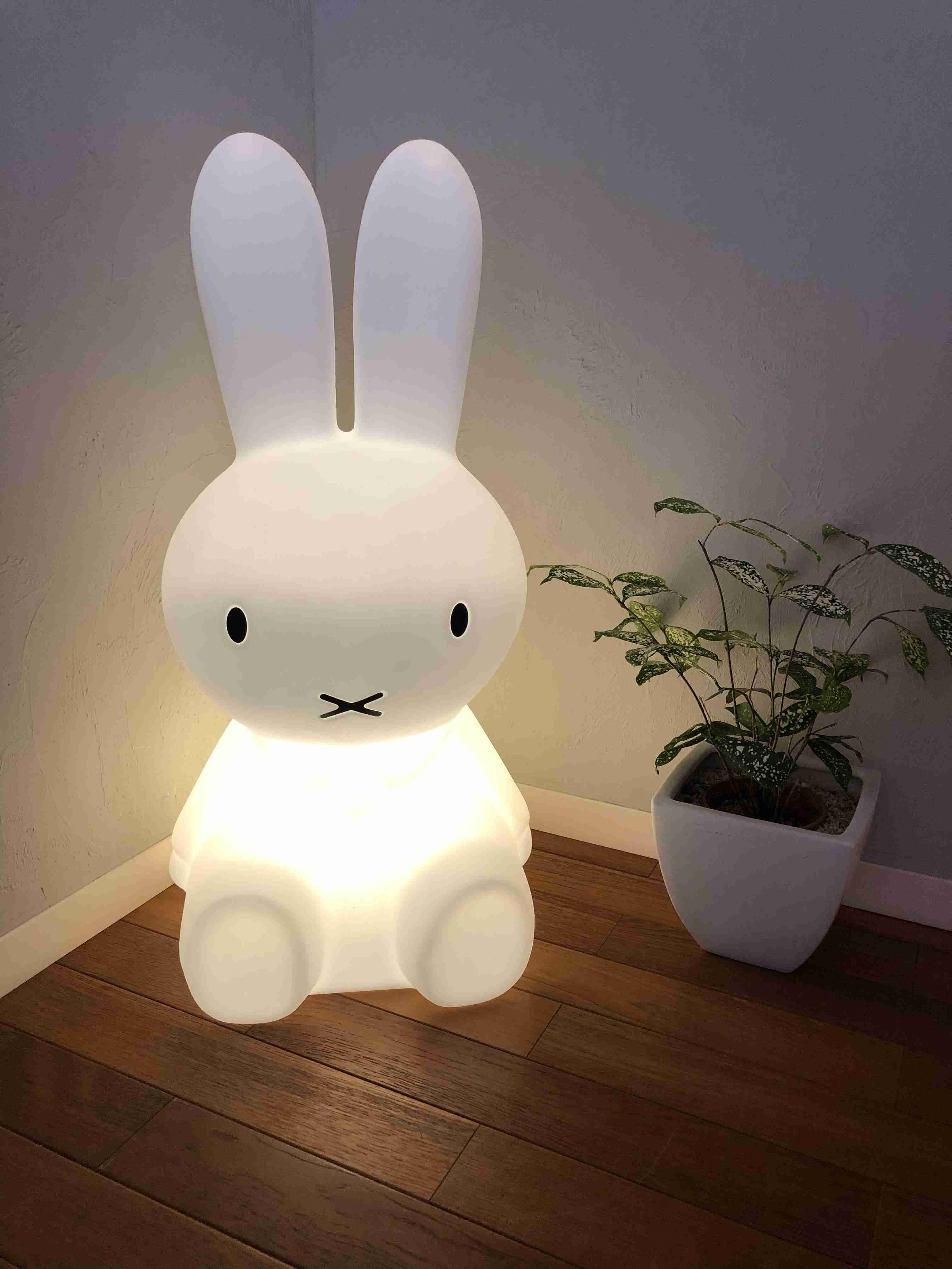 いろんなミッフィーが見たい( ・×・ )