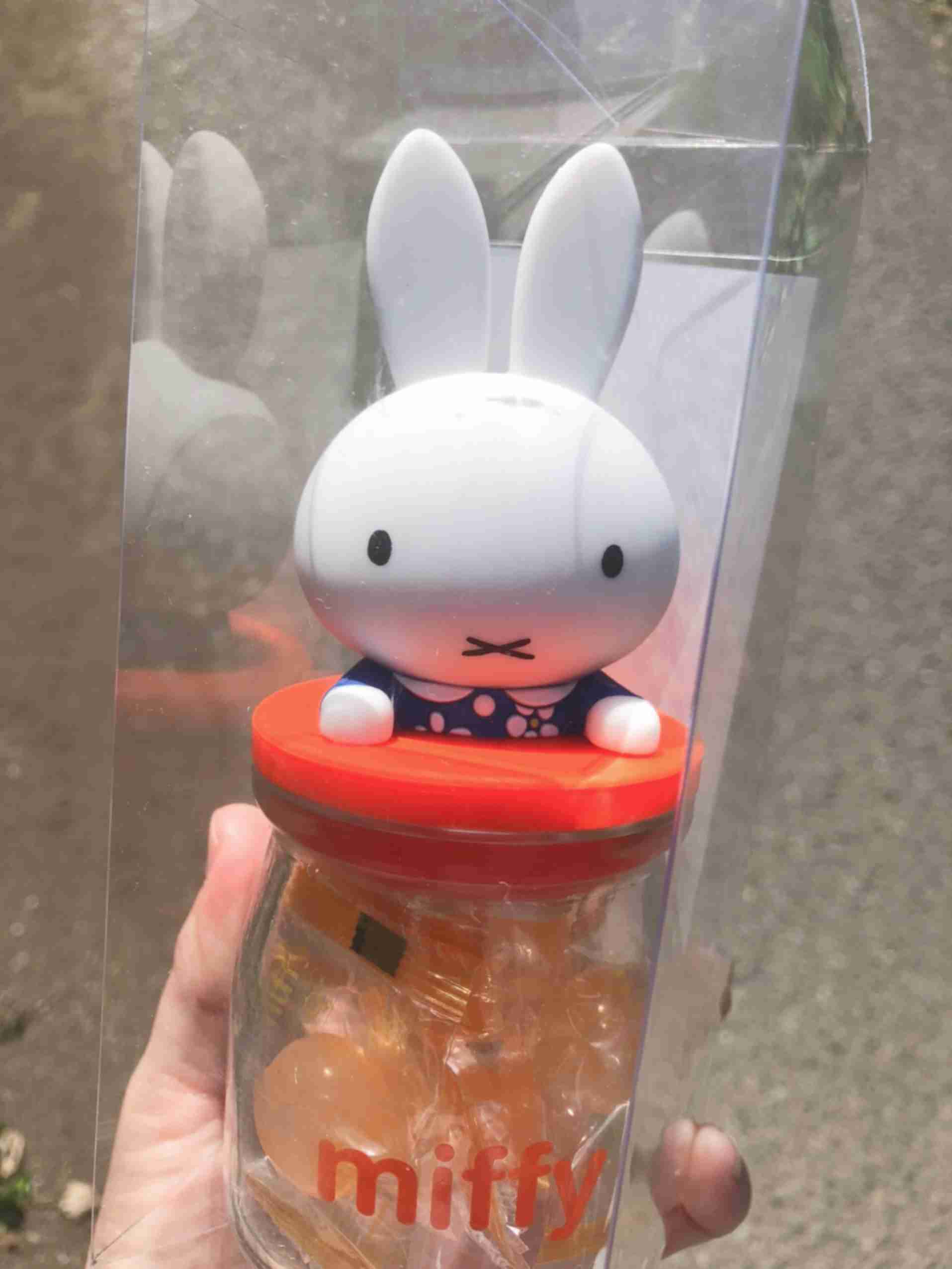 いろんなミッフィーが見たい( ・×・ )