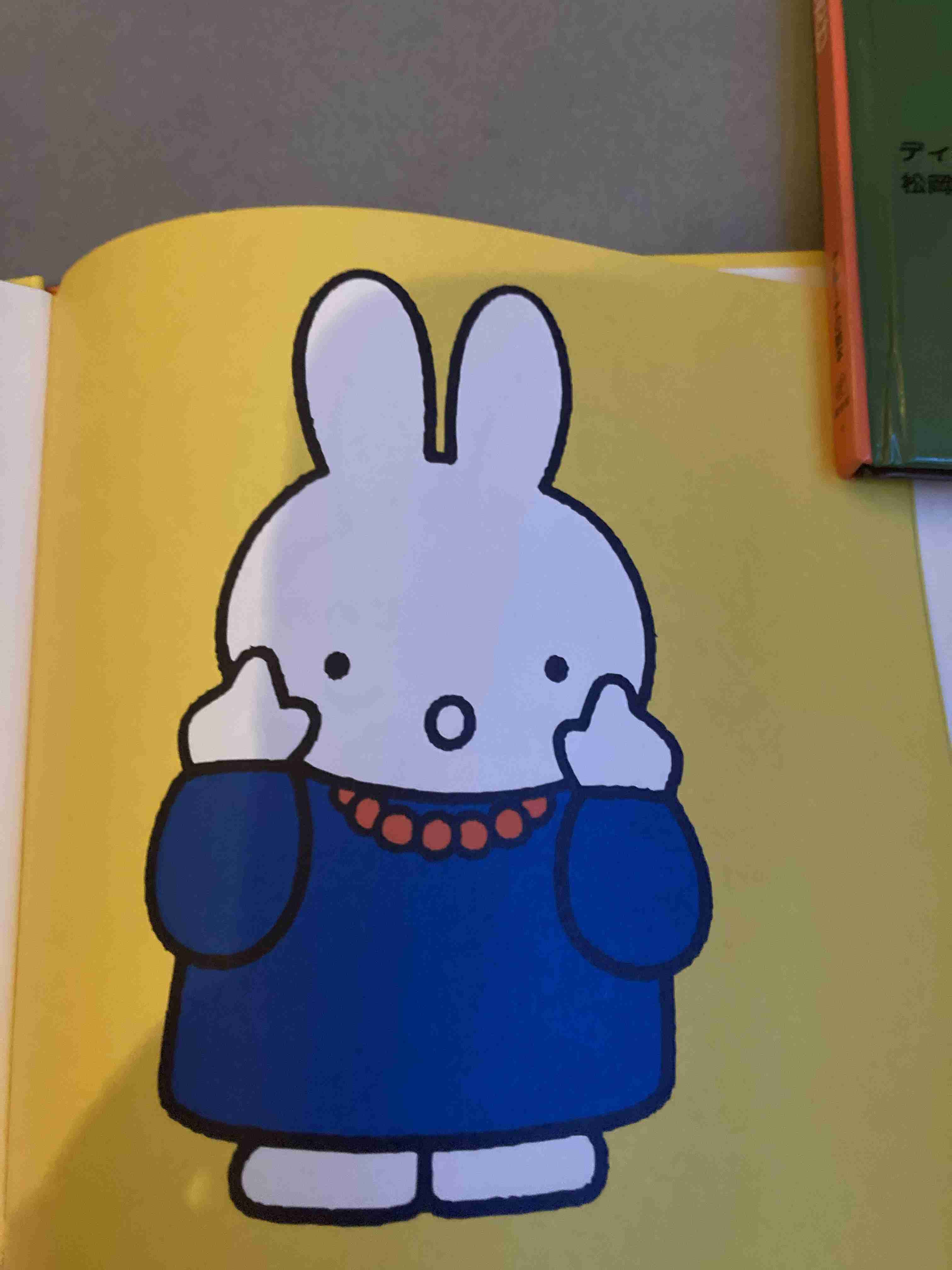 いろんなミッフィーが見たい( ・×・ )